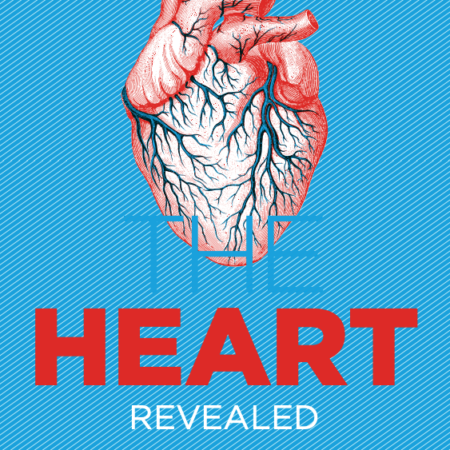 THE ROLE OF RADIOGRAPHERS IN OTHER AREAS OF CARDIAC IMAGING